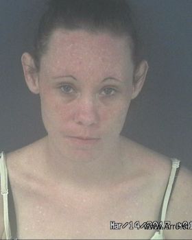 Lisa Marie Wells Mugshot