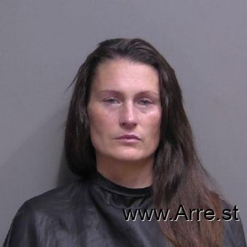 Lisa Marie Williams Mugshot