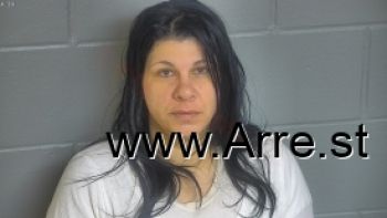 Lisa Marie Williams Mugshot