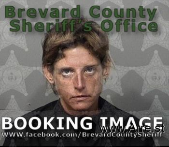 Lori Ann Brimm Mugshot