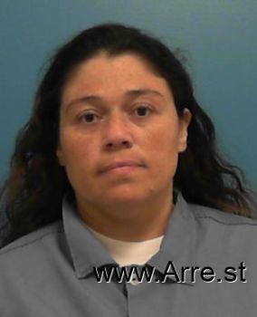 Lori A Johnson Mugshot