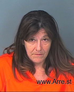 Lori Ann Johnson Mugshot