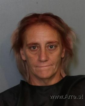 Lori Lynn Sirgey Mugshot