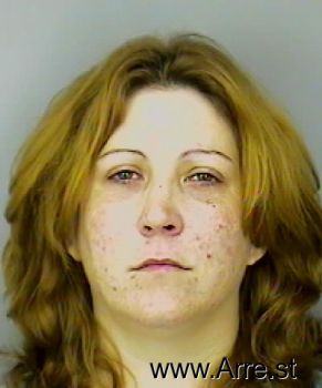 Lori Ann Young Mugshot