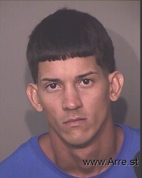 Luis Enrique Ayala-alicea Mugshot