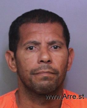 Luis  Ayala-gerena Mugshot