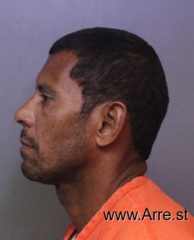 Luis  Ayala-gerena Mugshot