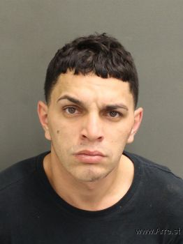 Luis Ariel Borges Delgado Mugshot