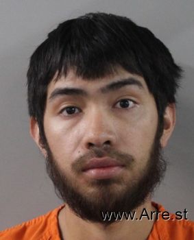 Luis  Delgado Mugshot