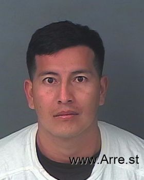 Luis David Delgado Fraco Mugshot