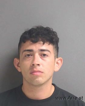 Luis Daniel Diaz Mugshot