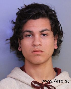 Luis Daniel Figueroa Ii Mugshot