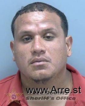 Luis Jonathan Guzman-puntriano Mugshot