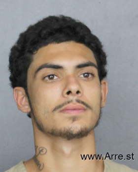 Luis David Herrera Mugshot