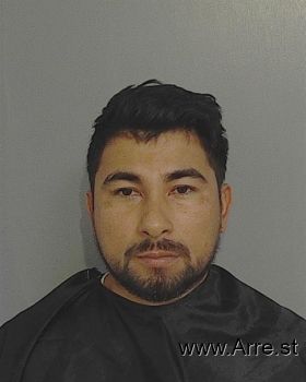 Luis Carlos Herrera-cogollo Mugshot