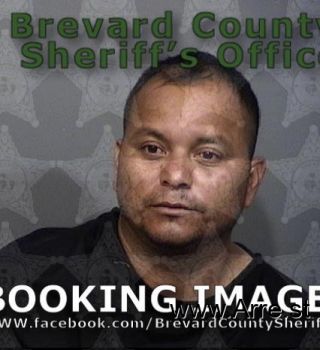 Luis Francisco Mendoza-ledesma Mugshot