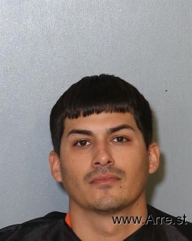 Luis Alberto Ortiz-pagan Mugshot