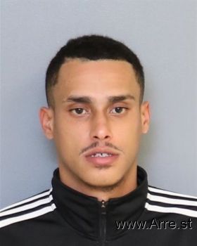 Luis E Padilla-ayala Mugshot