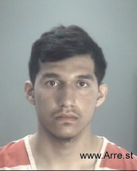 Luis Francisco Padilla-gonzalez Mugshot