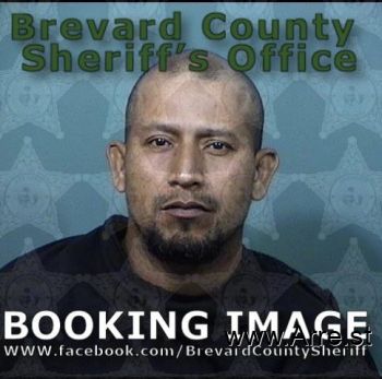 Luis Armando Palacios Ramirez Mugshot