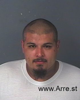 Luis Andres Reyes Saucedo Mugshot