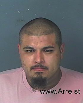 Luis Andres Reyes Saucedo Mugshot