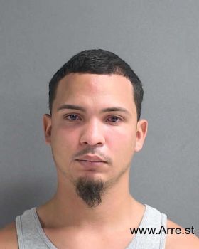 Luis Manuel Rosario Figueroa Mugshot