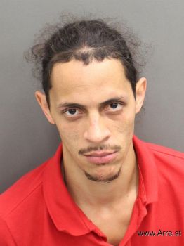 Luis  Rosas Mugshot