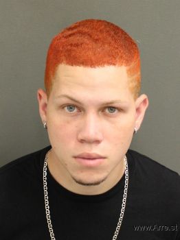 Luis Yandiel Torresmelendez Mugshot