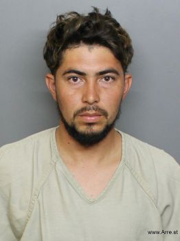 Luis Alonzo Vasquez-salamanca Mugshot