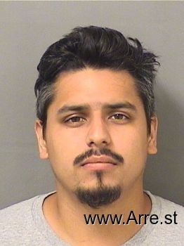 Luis Fernando Jr Velazquez Mugshot