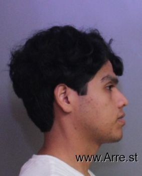 Luis  Villegas Mugshot