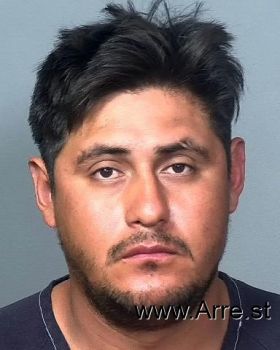 Luis-fernando  Reyes-guzman Mugshot