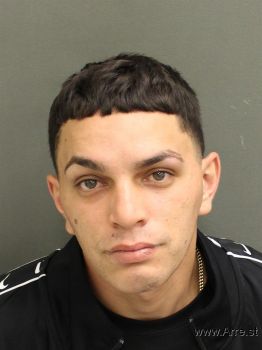 Luisarielbor  Delgado Mugshot