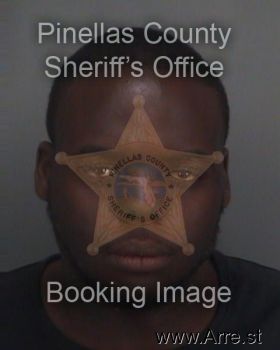 Marcelle E Lewis Mugshot