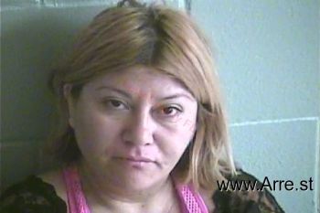 Maria Elena Mendieta-palacios Mugshot