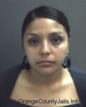 Marisol Rico   Mugshot