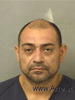 Martin  Flores Mugshot