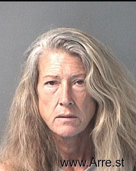 Mary Elizabeth Hunt Mugshot