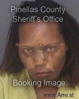 Megan Rene Palmer Mugshot