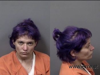 Megan Theresa Stergios Mugshot