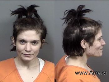 Megan Theresa Stergios Mugshot