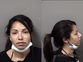 Michelle Janet Jenkins Mugshot