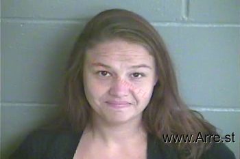 Michelle Lee Johnson Mugshot