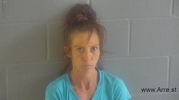 Michelle Lee Mcneal Mugshot