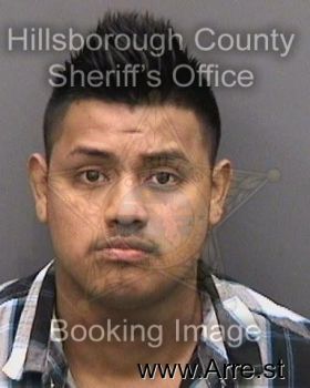 Modesto  Hernandezrosas Mugshot