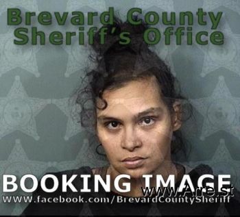 Makayla Lynn Farless Mugshot