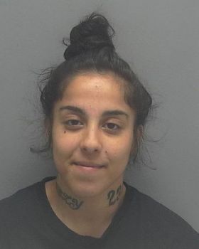 Mallory  Hernandez Mugshot