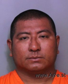 Manuel  Sanchez-nino Mugshot