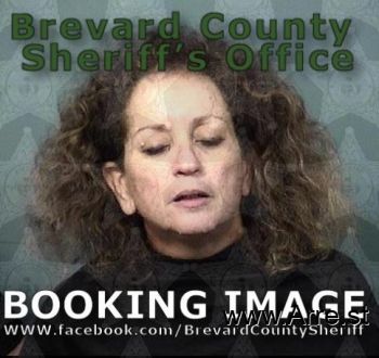 Maria Elena Castro Mugshot